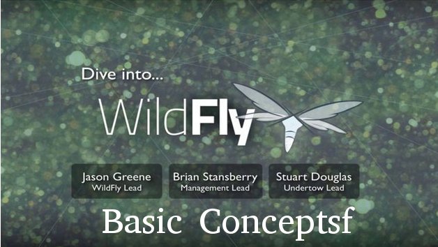 Basic Concepts in WildFly