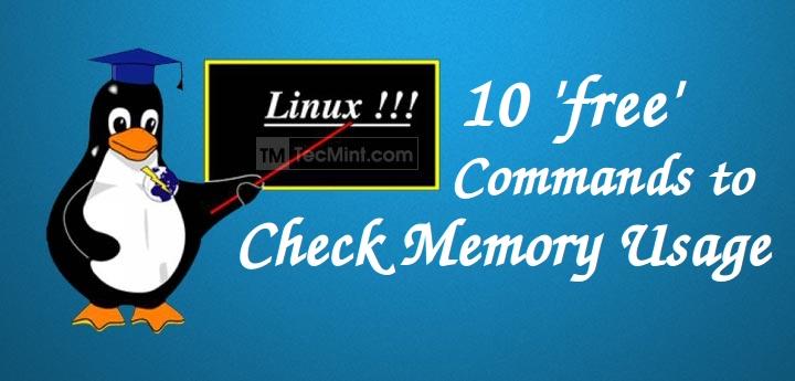 Check Memory Usage in Linux