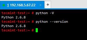 Check Python Version