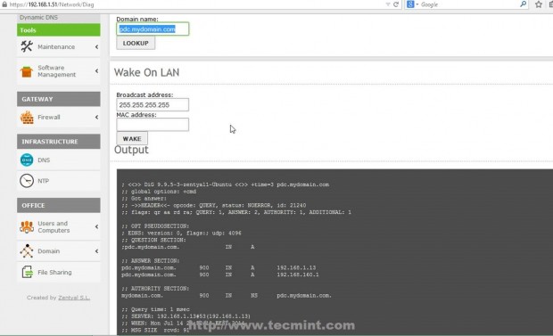 Verify Domain DNS Entries