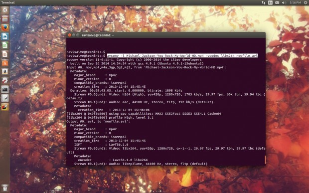 Convert mp4 to Avi Format in Linux