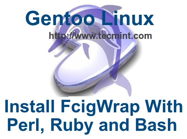 Install FcgiWrap with Perl, Ruby and Bash