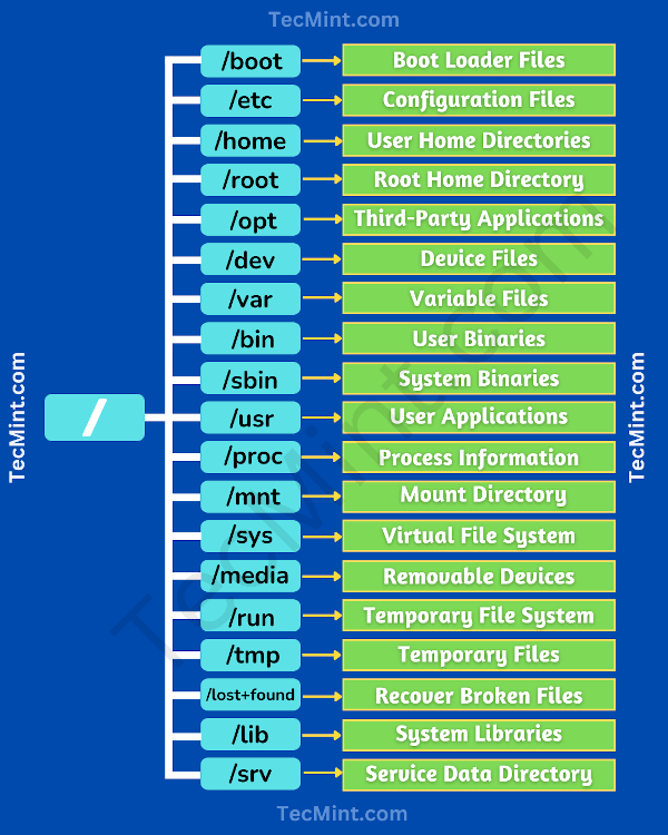 Linux File System Structure