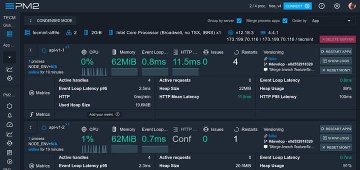 Monitor Nodejs Apps Using PM2