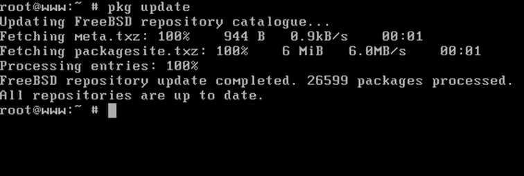 Update Packages in FreeBSD
