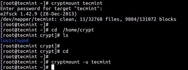 Access Encrypted Filesystem