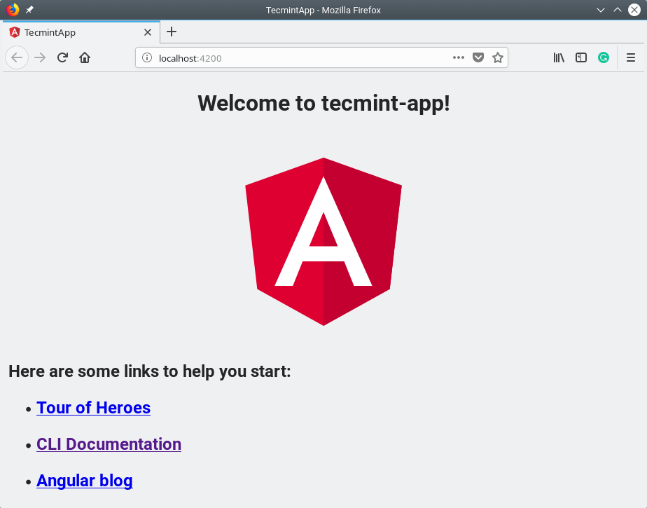 Access Your New Angular App