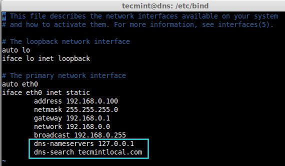 Add DNS Entry in Ubuntu