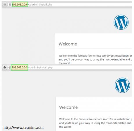 Ansible WordPress Installation