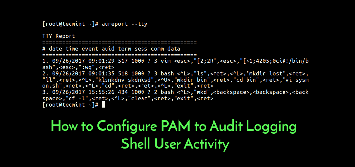 Audit User TTY Shell Activity