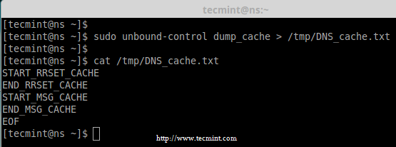 Backup DNS Cache