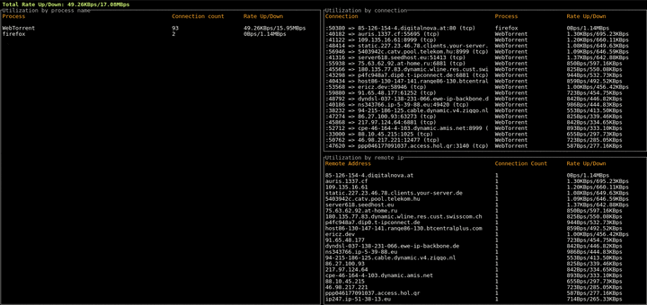 Bandwhich - Monitors Linux Network Utilization