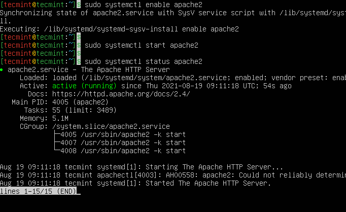 Check Apache Status in Ubuntu