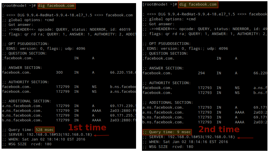 Check Cache only DNS Queries