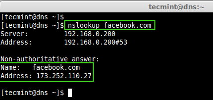 Check DNS Query Cache