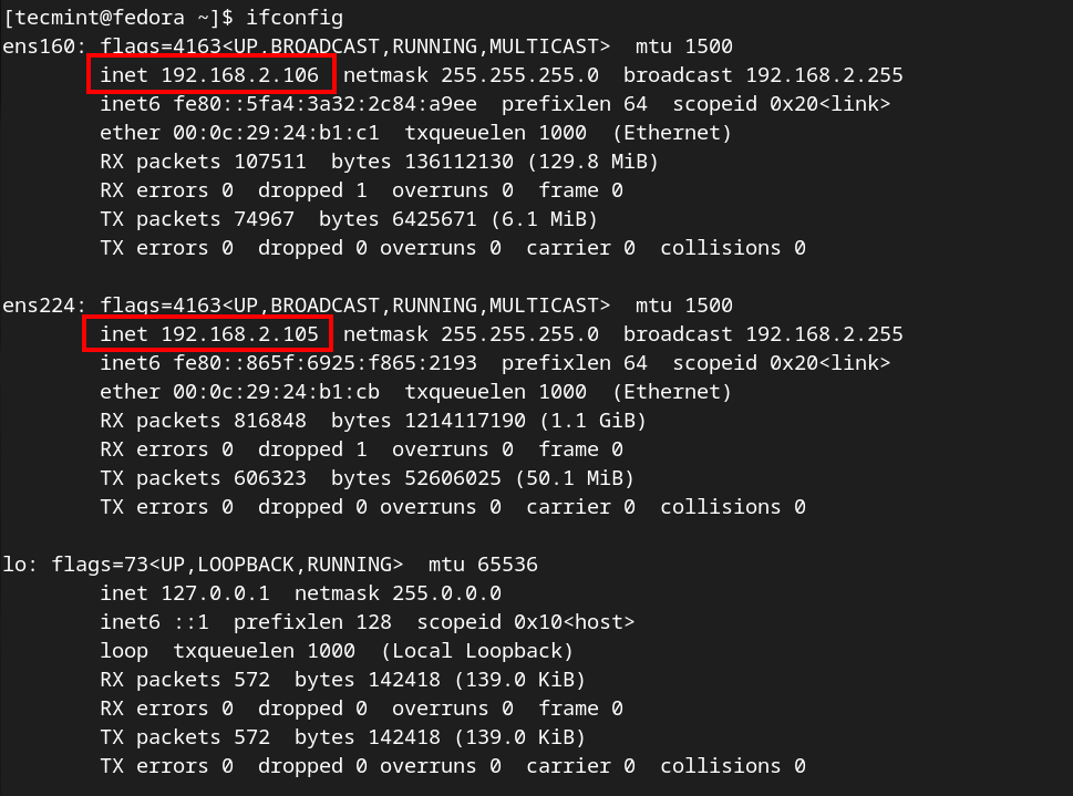 Check IP Address in Linux