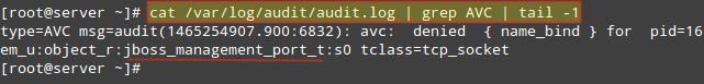 Check Linux Audit Logs