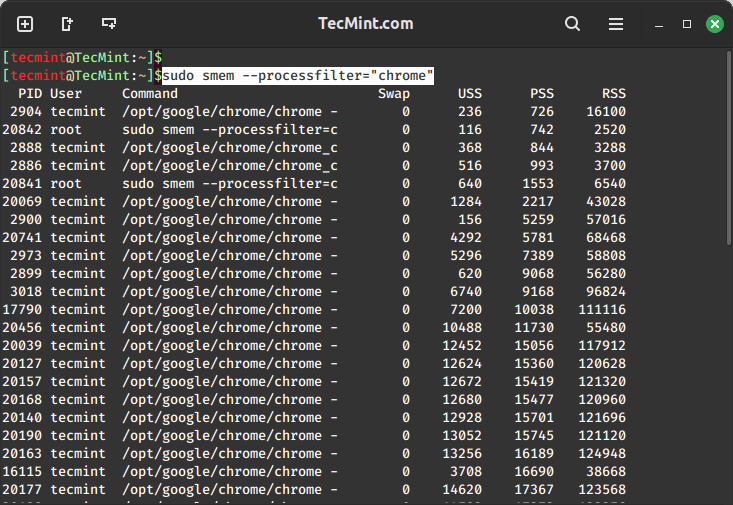 ChecK Memory Usage by Processes