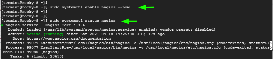 Check Nagios Status