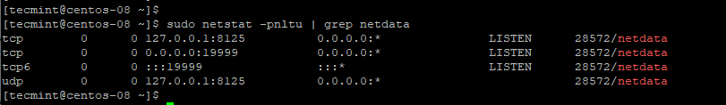 Check Netdata Listening Port