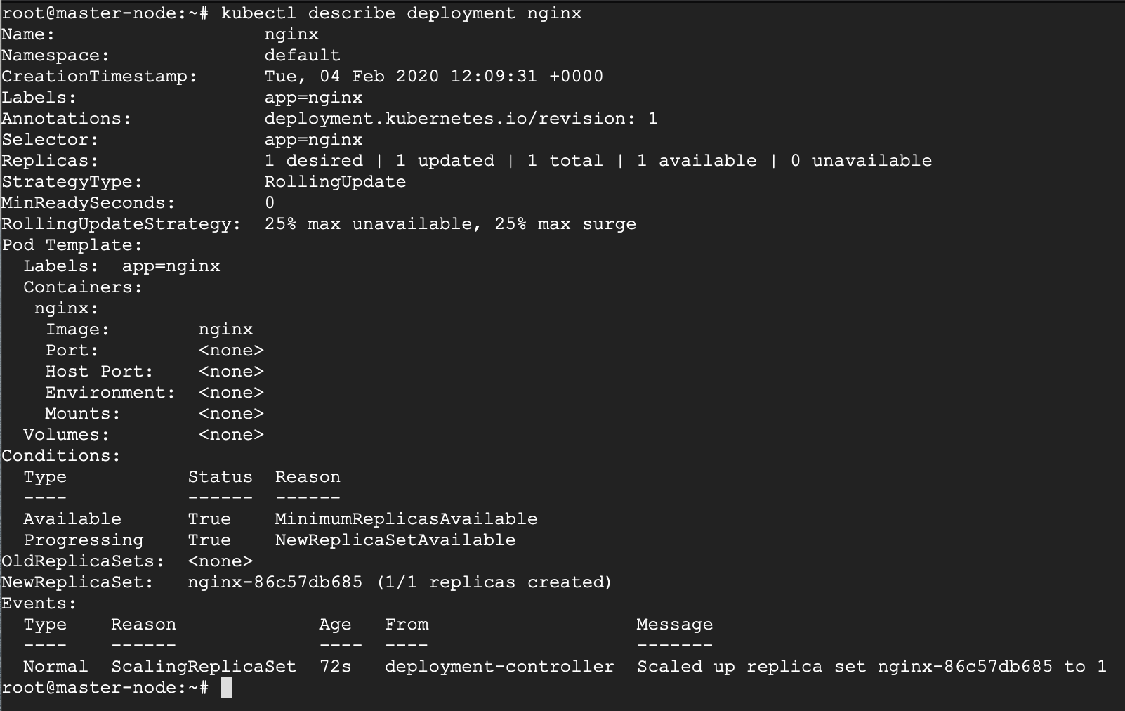 Check Nginx Deployment Details