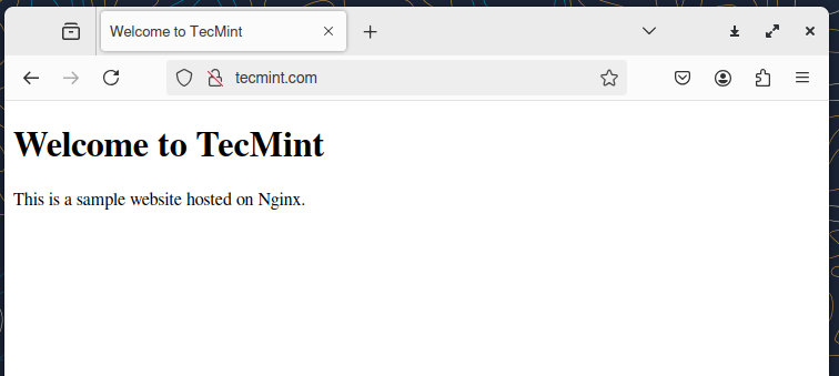 Check Nginx Sample Website