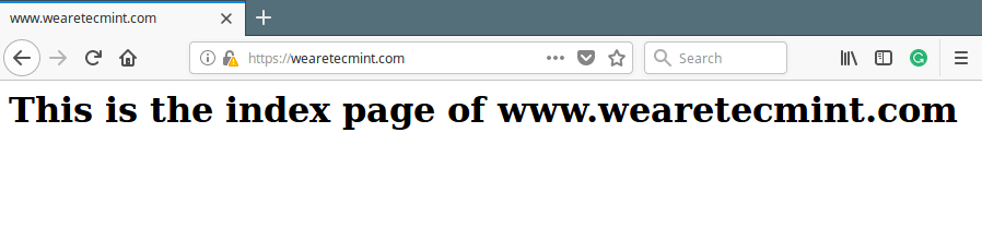 Check Nginx SSL Website