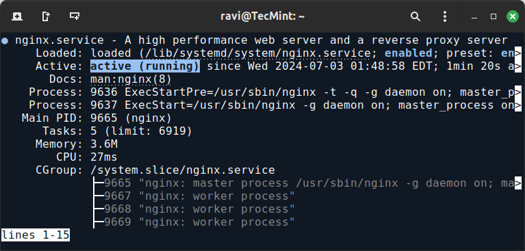 Check Nginx Status on Debian