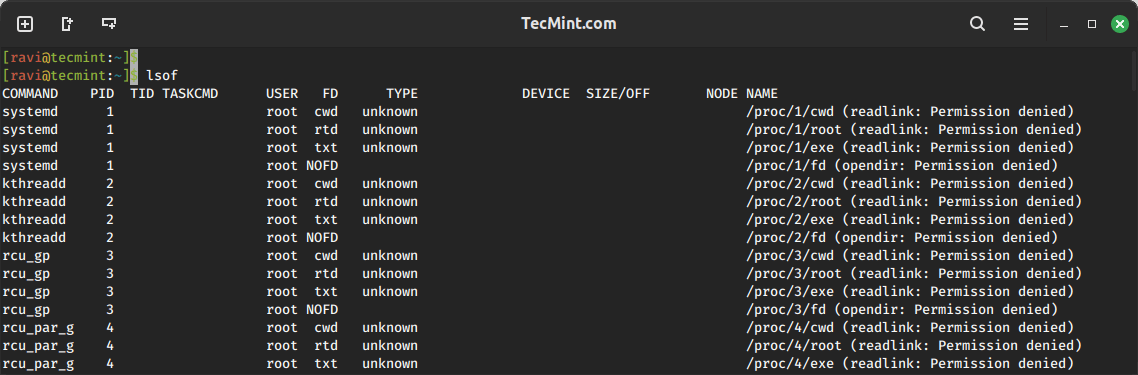 Check Open Files in Linux