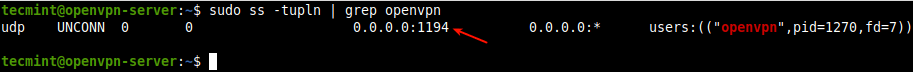 Check OpenVPN Listening Port