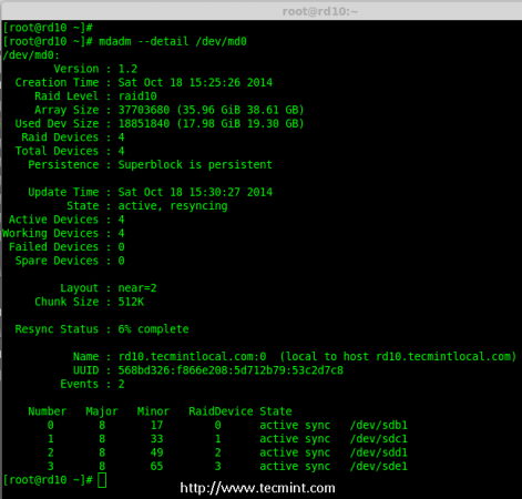 Check Raid Array Details