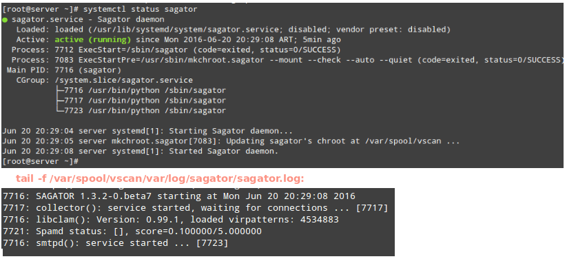 Check Sagator Status and Logs