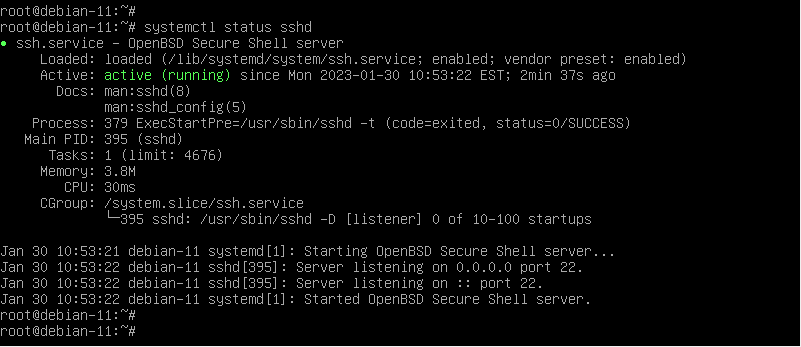 Check SSH Server