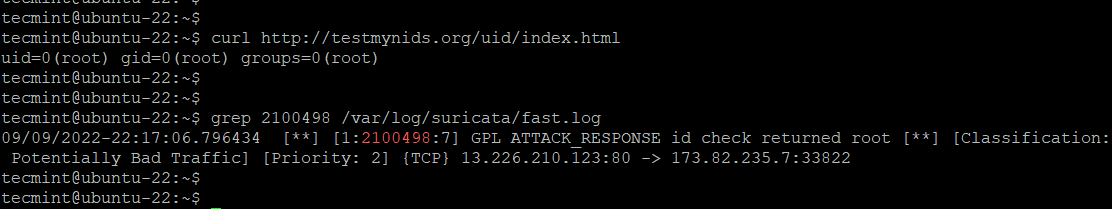 Check Suricata Logs