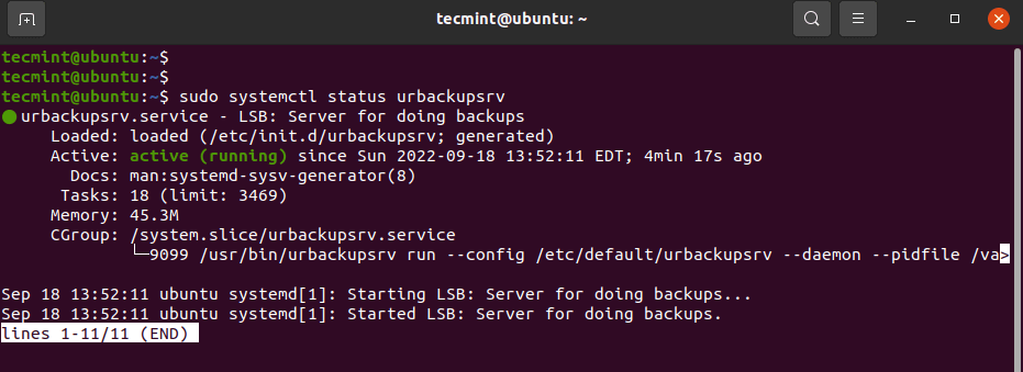 Check Urbackup Status