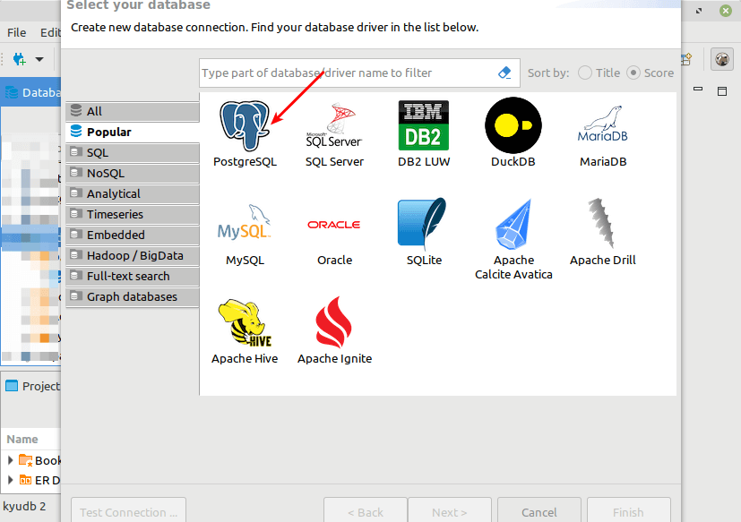 Choose Database Type