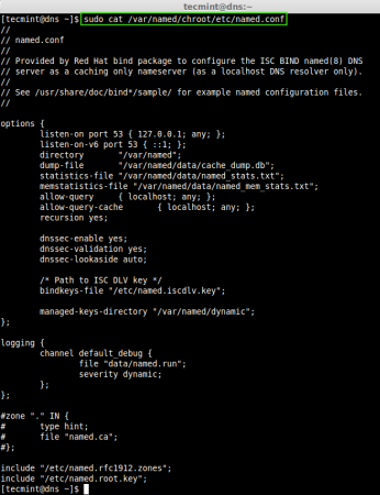 Chroot Caching Only DNS