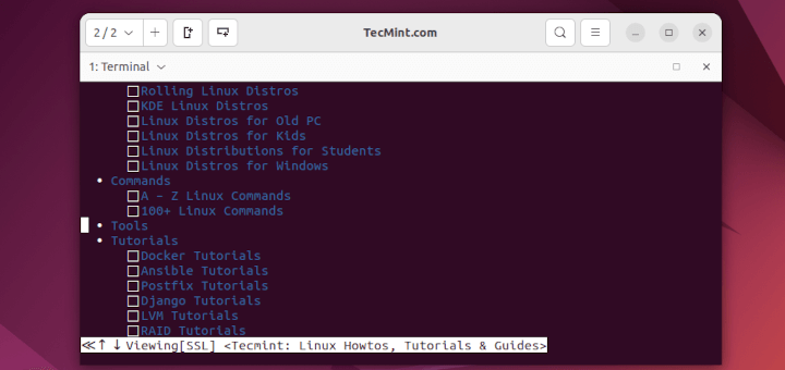 Downloading Files and Browsing Internet in Terminal