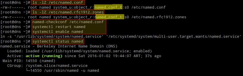 Configure and Start DNS Named Service