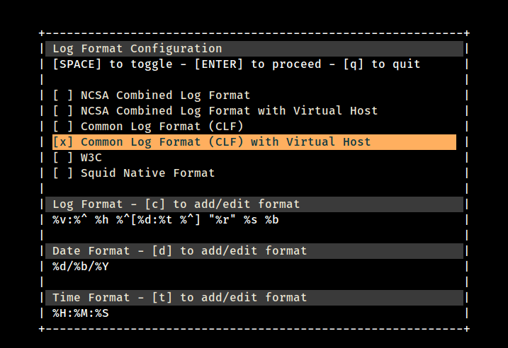 Configure GoAccess Log Format