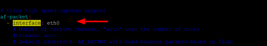 Configure Suricata Network Interface