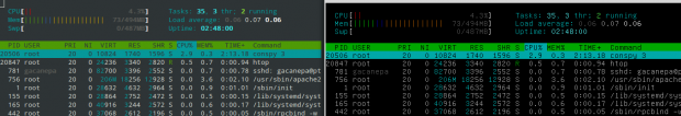 Conspy with Htop Linux Process Monitoring