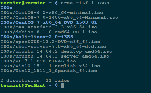 Count Files and Subdirectories in a Directory