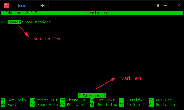 Copy and Paste Text in Nano