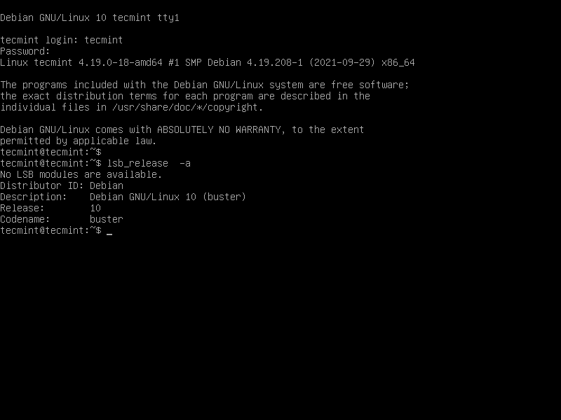 Debian 10 Login