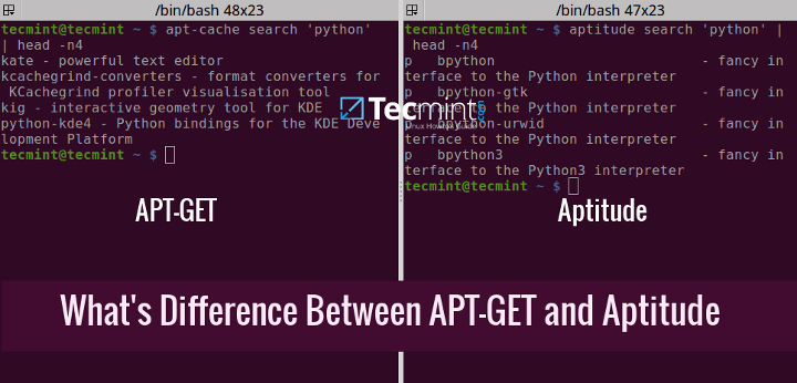 Difference Between APT and Aptitude