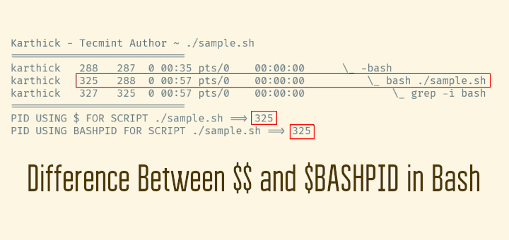 Learn Difference Between $$ and $BASHPID in Bash