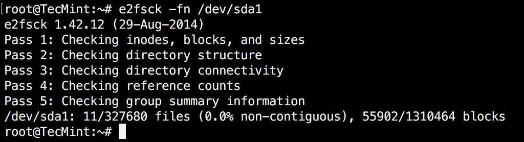 e2fsck Healthy Partition