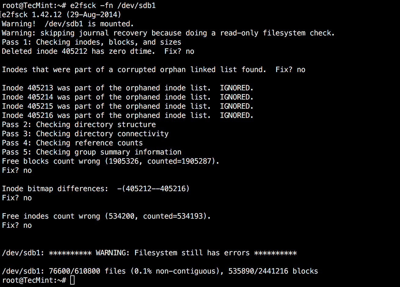 e2fsck With Errors