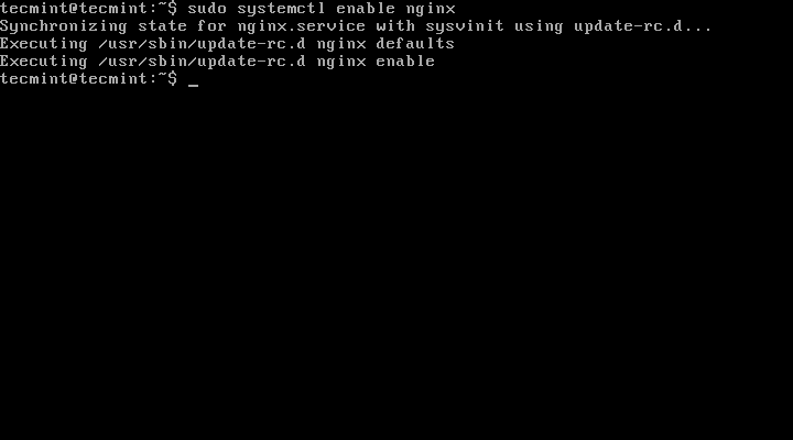 Enable Nginx At Boot
